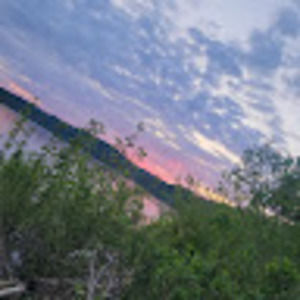 Meet your Posher, Deez